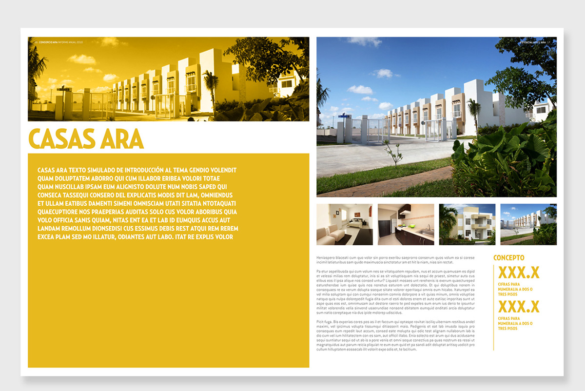 ANNUAL report informe Anual Ara consorcio construccion construction editorial finantial financiero concept houses house build building buildings