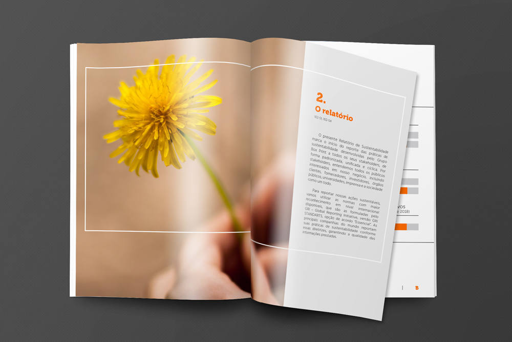 book editorial editorial design  embalagens Fabrica industria Livro Relatório sustentabilidade