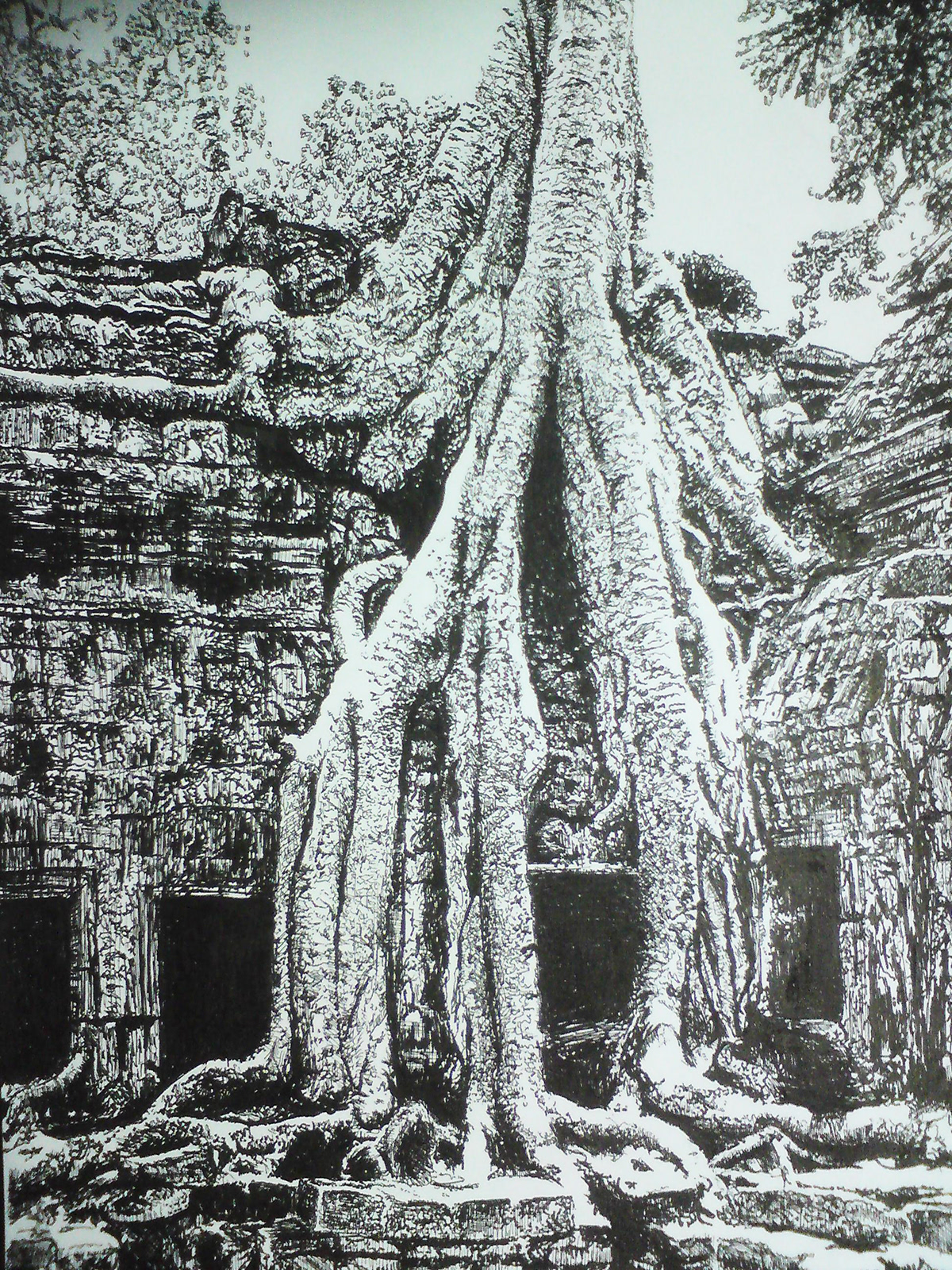 Tree Roots - Preah Khan temple