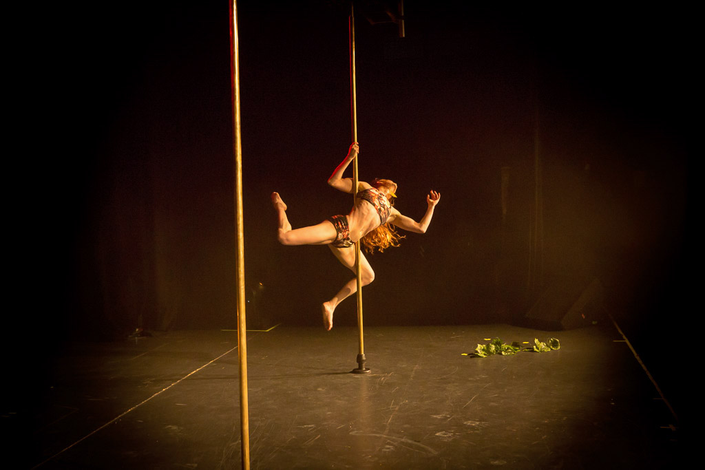 Adobe Portfolio dancing Performance pole dancing
