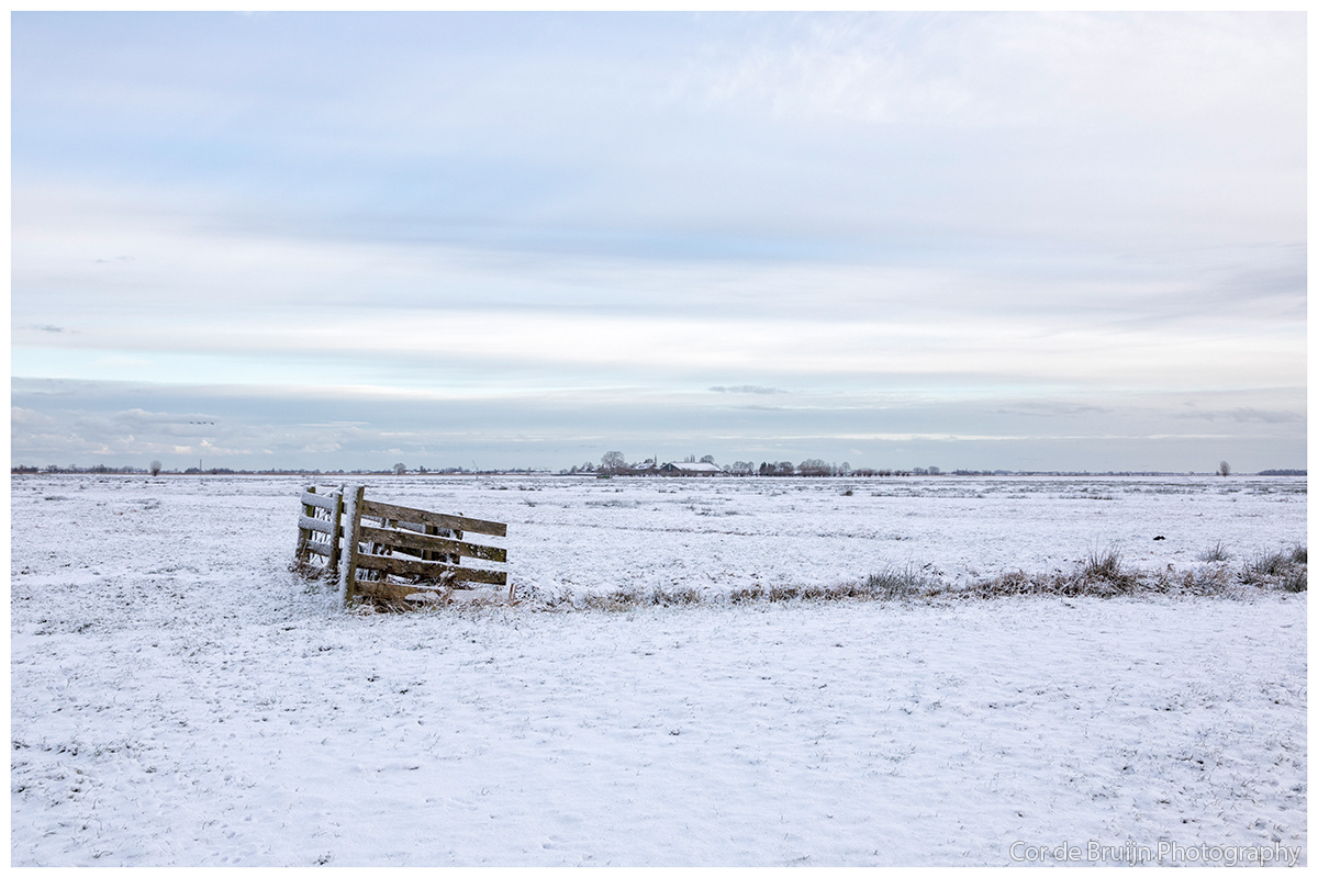 SKY Landscape snow winter Netherlands countryside meadow ice polder