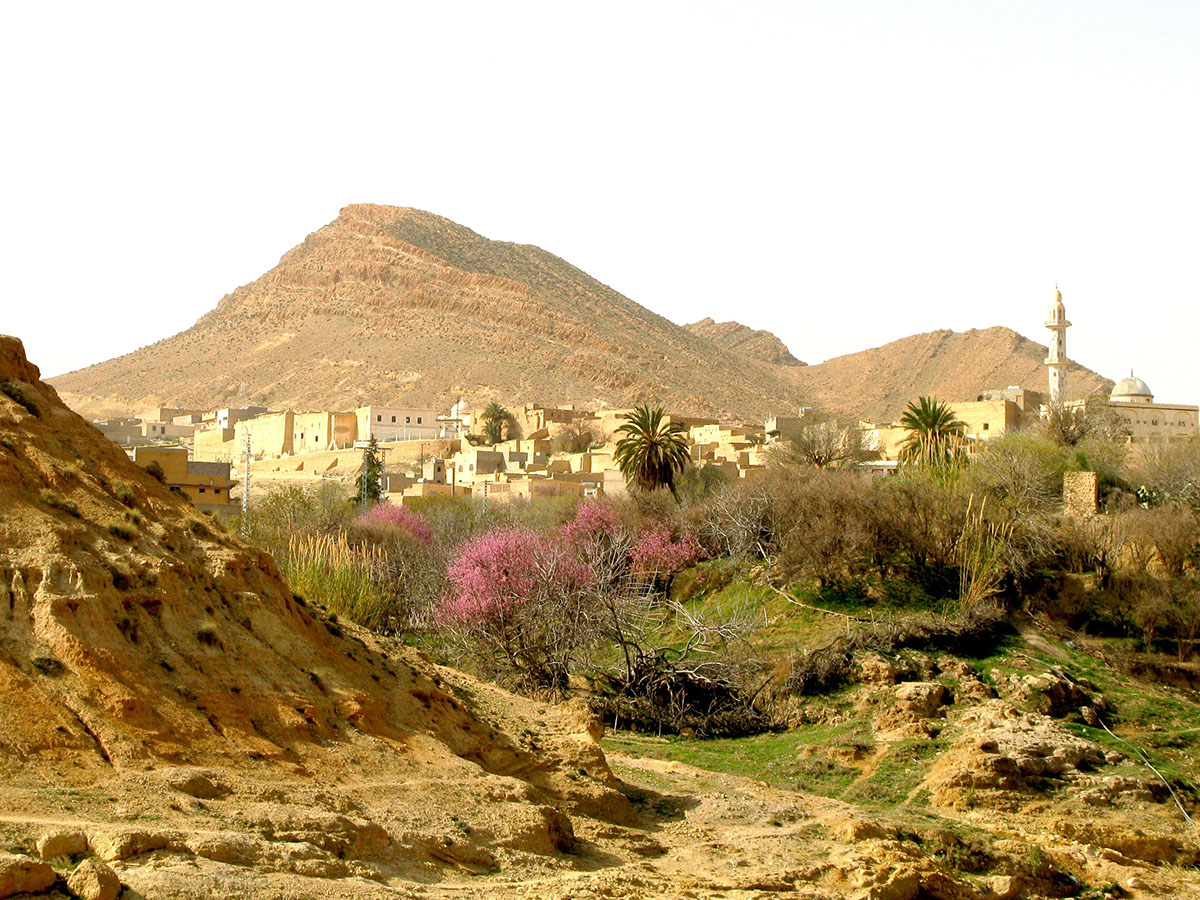  Algérie  Alger  Casbah  city  abandonned desert