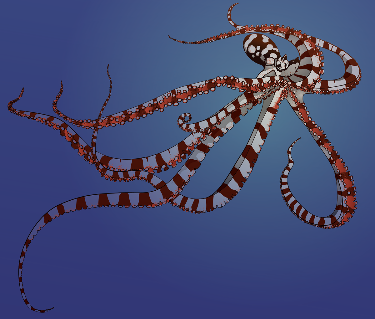 wunderpus octopus tentacle animal sea cephalopod vectors stripes Ocean
