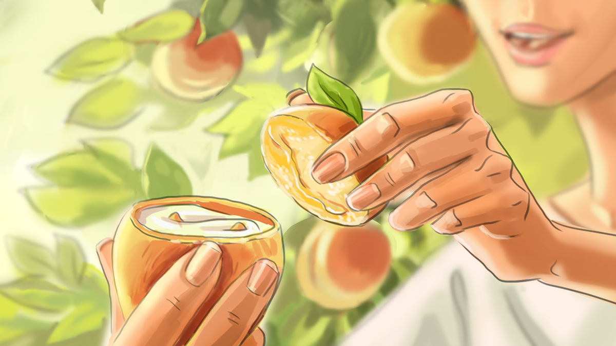 fruits peach yogurt sweet storyboard story beauty yammy