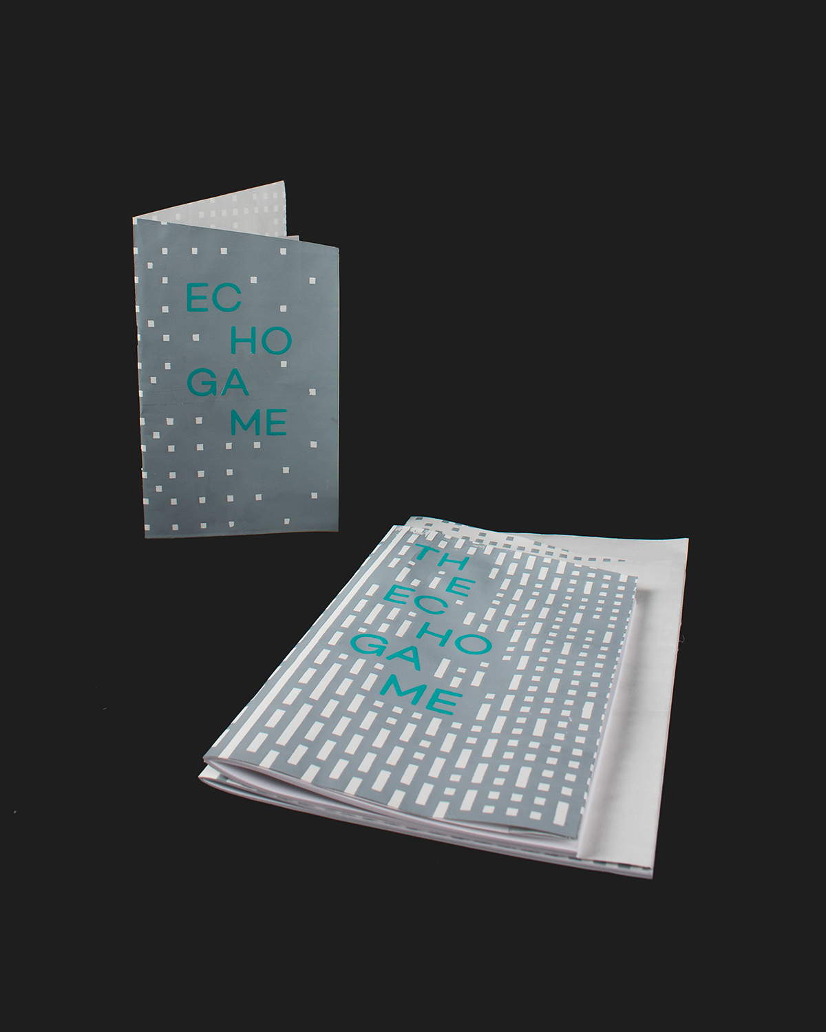 FOFA Gallery exhibition catalog Screenprinting