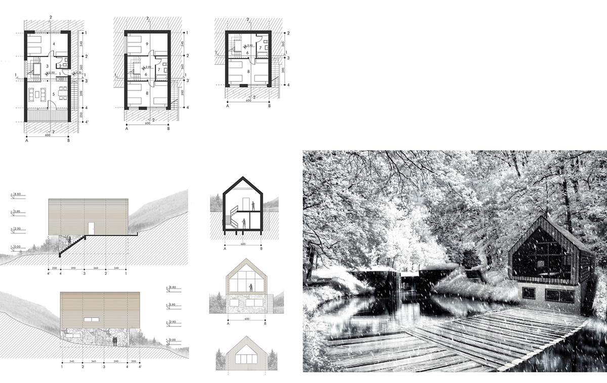 house Project AutoCAD mountain design architect