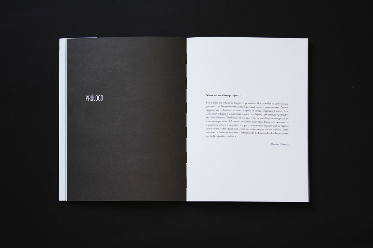 book book design editorial editorial design  artist artist book