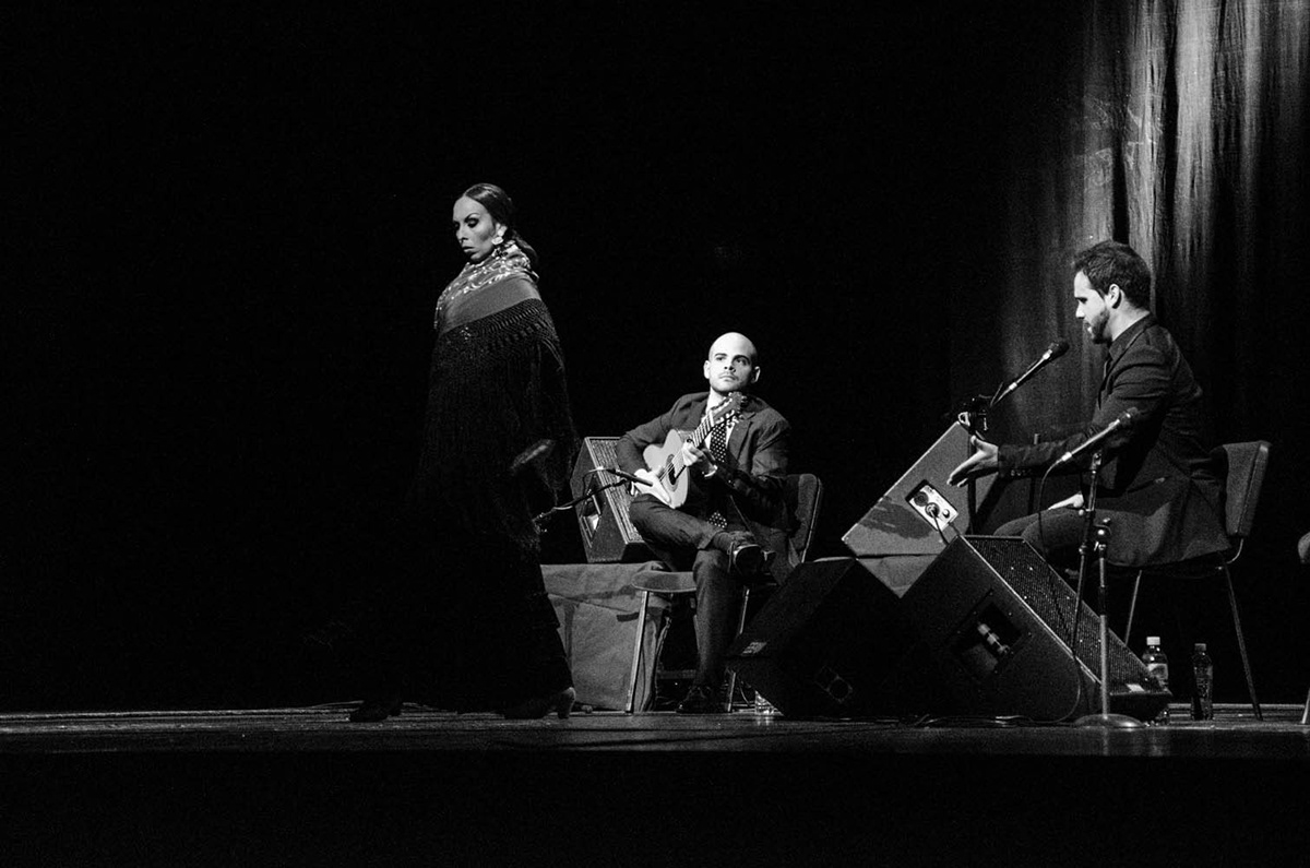 reportage concert guitar Flamenco