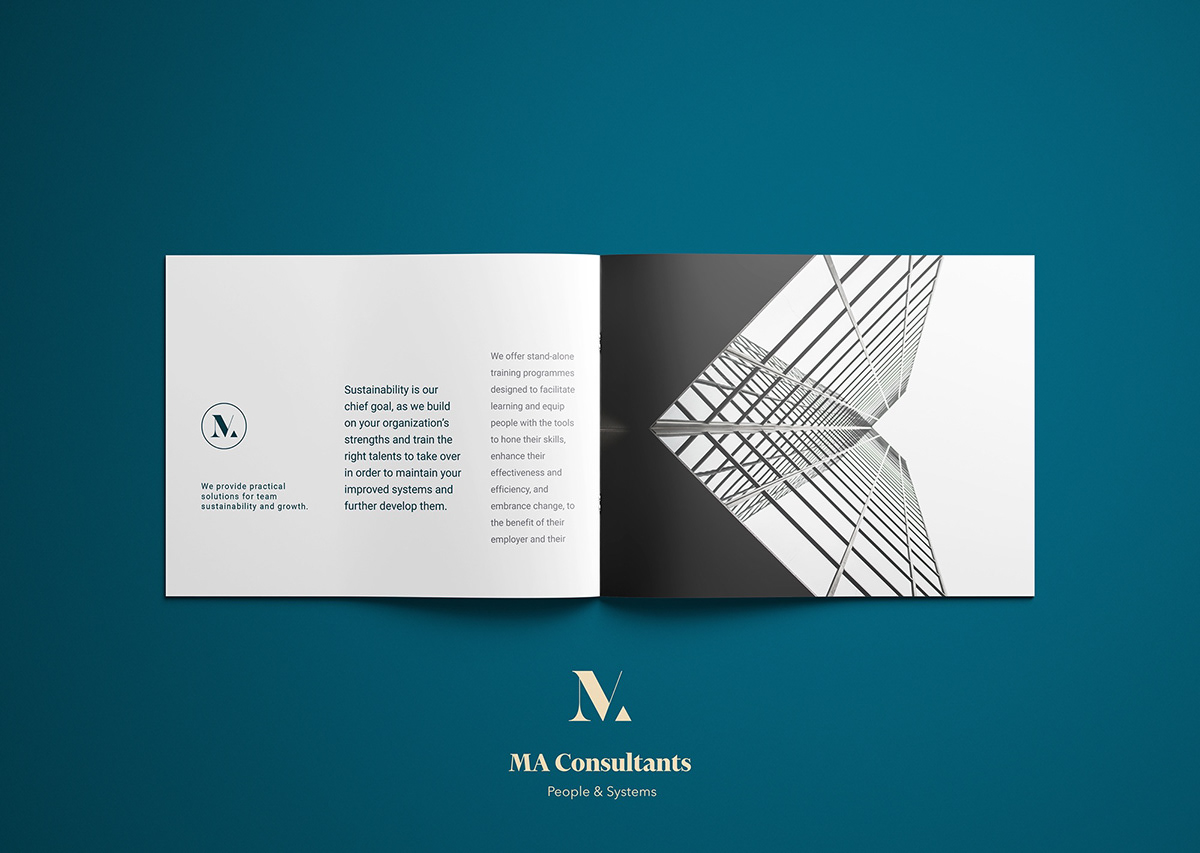 branding  Web Design  ui-ux consultancy Logo Design Stationery graphic design 