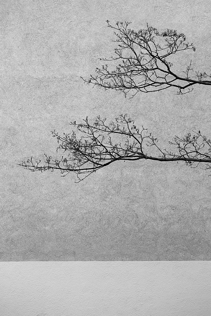 abstract berlin Melancholy minimal Minimalism simple surreal Tree  trees winter