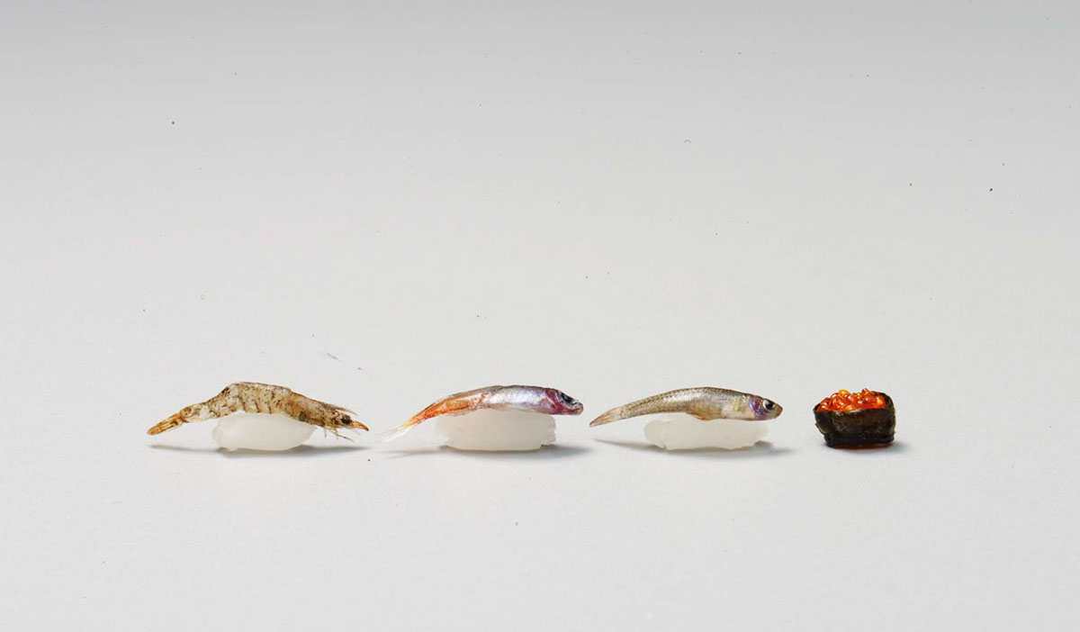 Sushi experimental grain small art