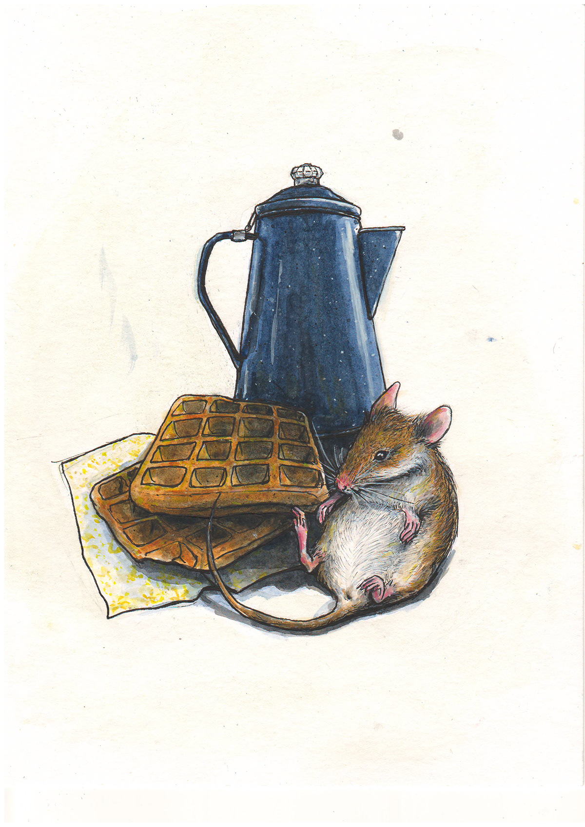 bookillustration ChildrenIllustration ILLUSTRATION  inkandwatercolor mice sketch sketchbook