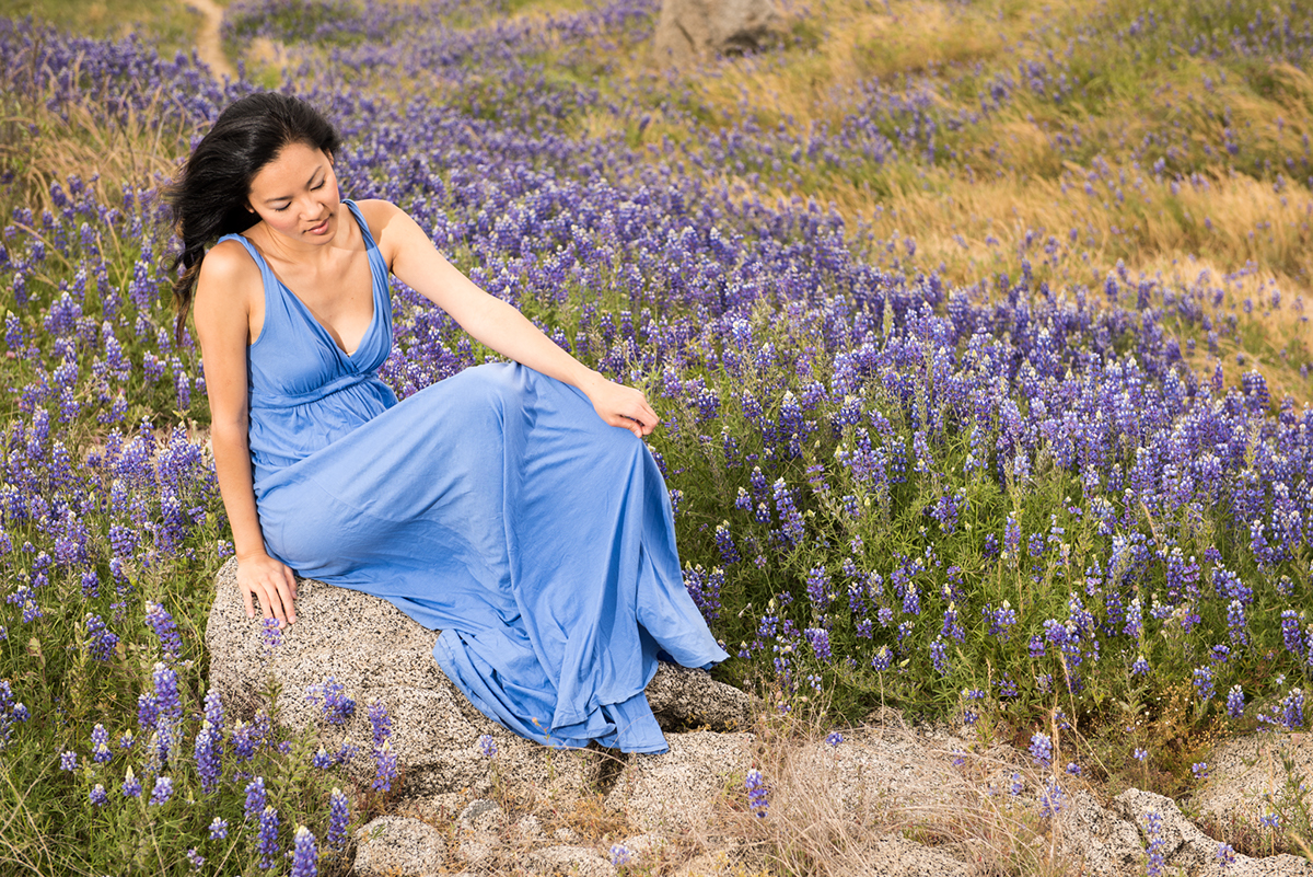 model woman girl Lady Nikon person portrait Picture lupine lake Folsom California purple dress beauty