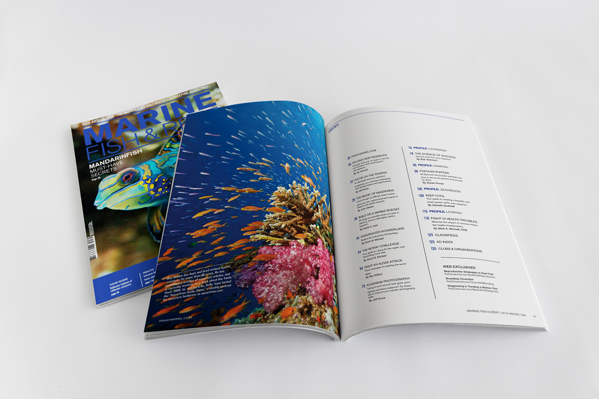magazine fish reef marine anderson university