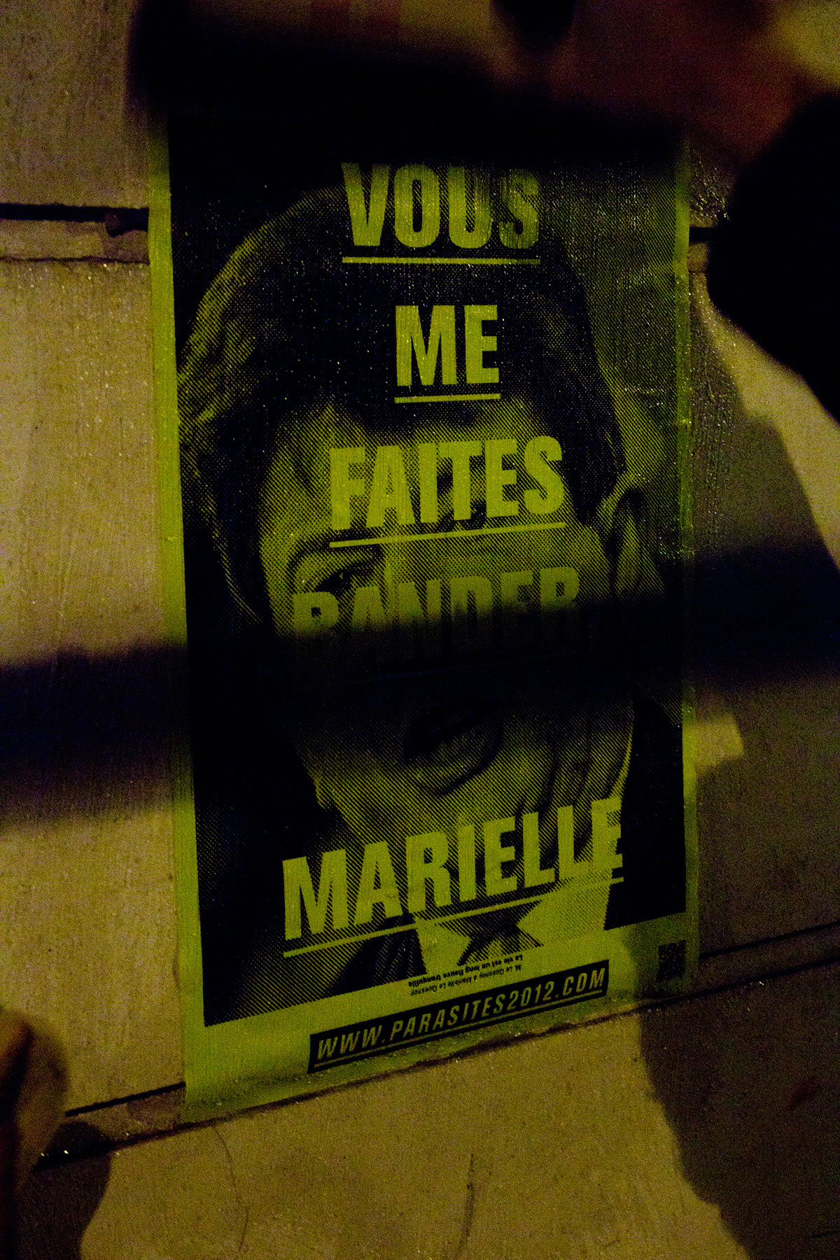francois hollande elections 2012 parasites campagne affiches politiques Sarkozy presidentielle