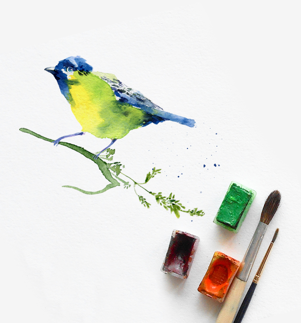 watercolor bird