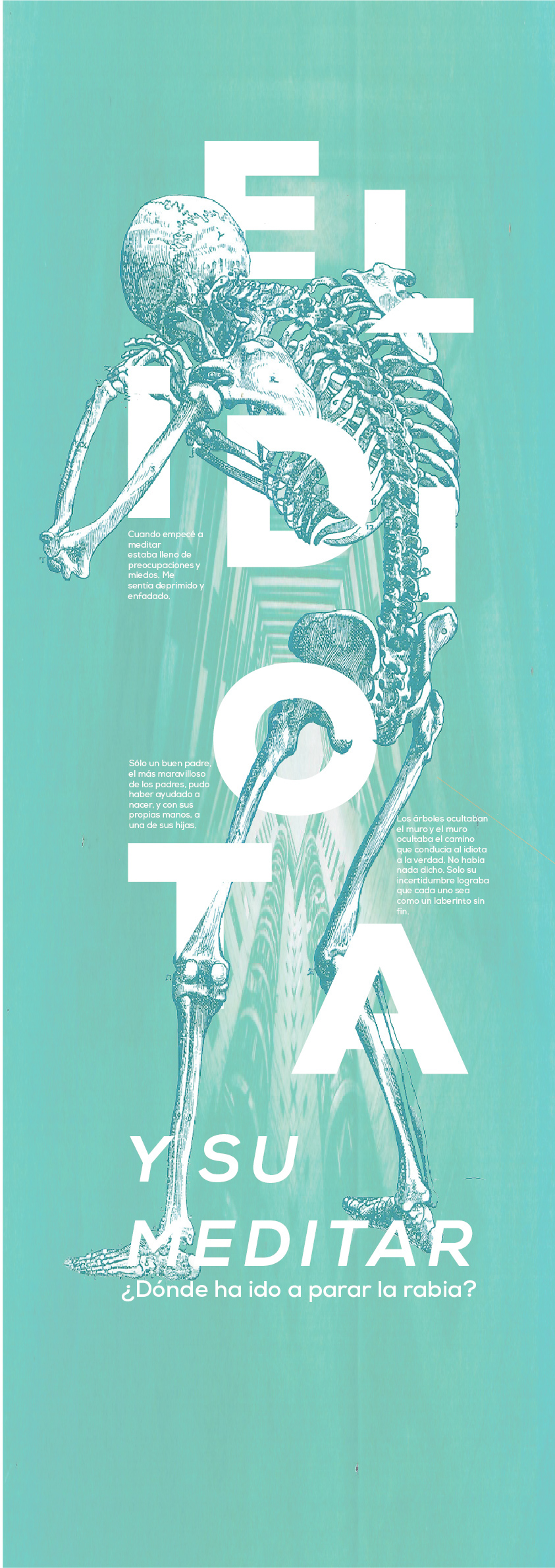 collage diseño gráfico editorial esqueleto filmina imagen mundo Photography  texto