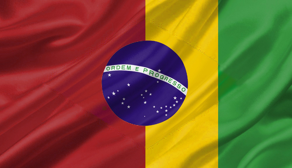 Bandeira braseiro Brasil identidade visual pau brasil amarelo Verde vermelho