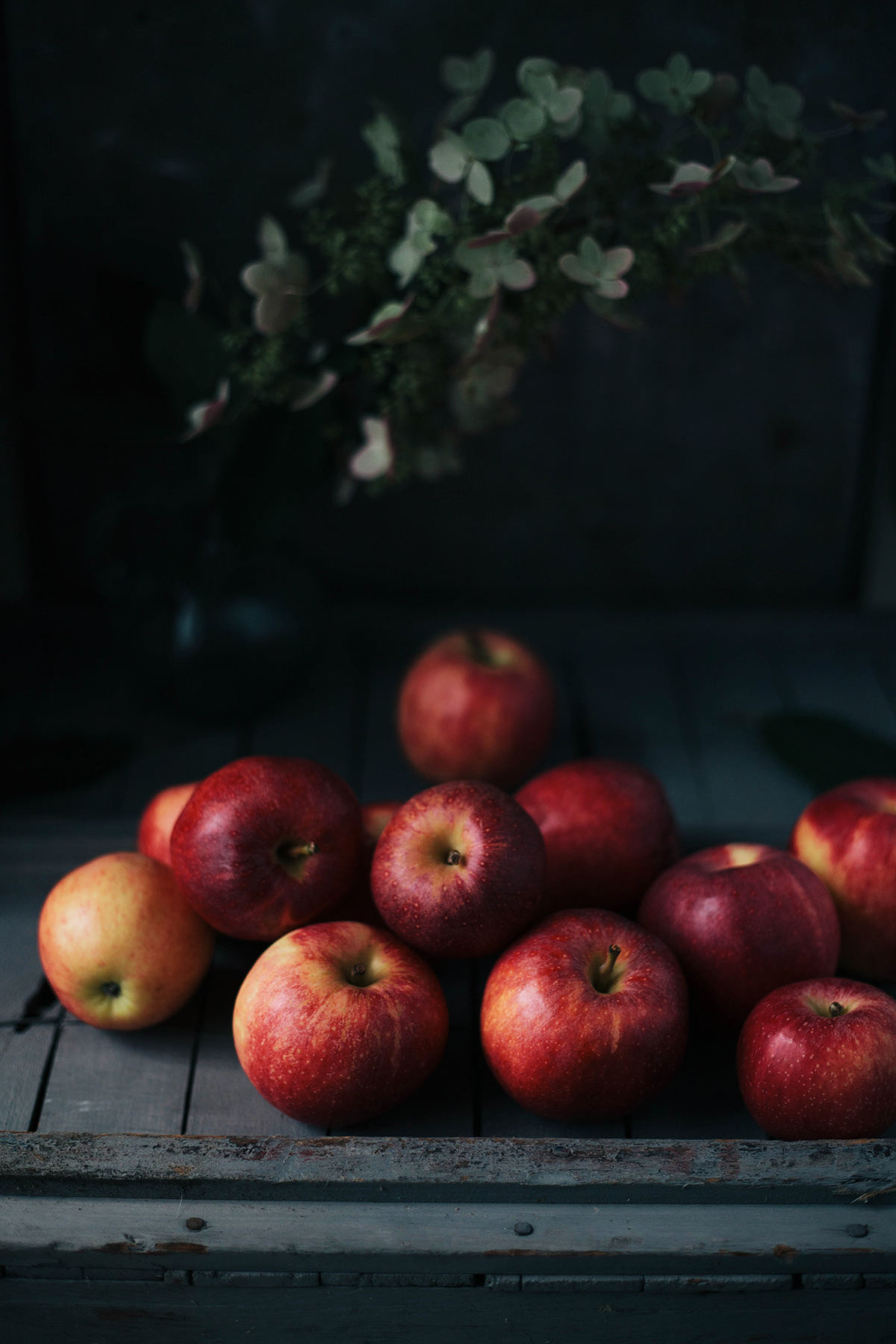 foodphotography digitalphotography contrast apples Fall farmtotable red dark
