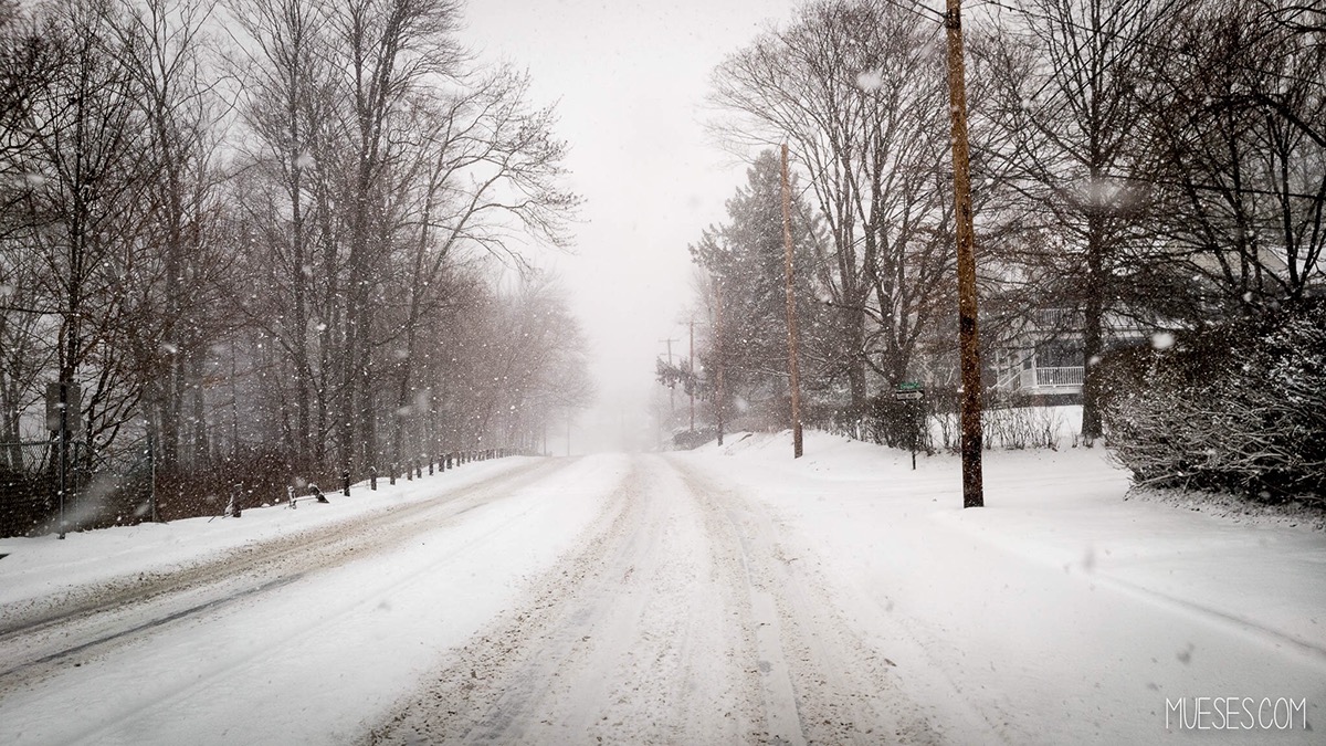 Adobe Portfolio New England Connecticut winter photos