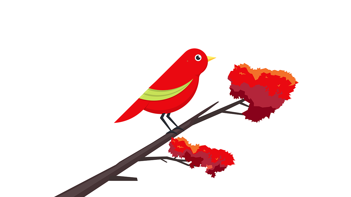 bird branch flat design Icon vector