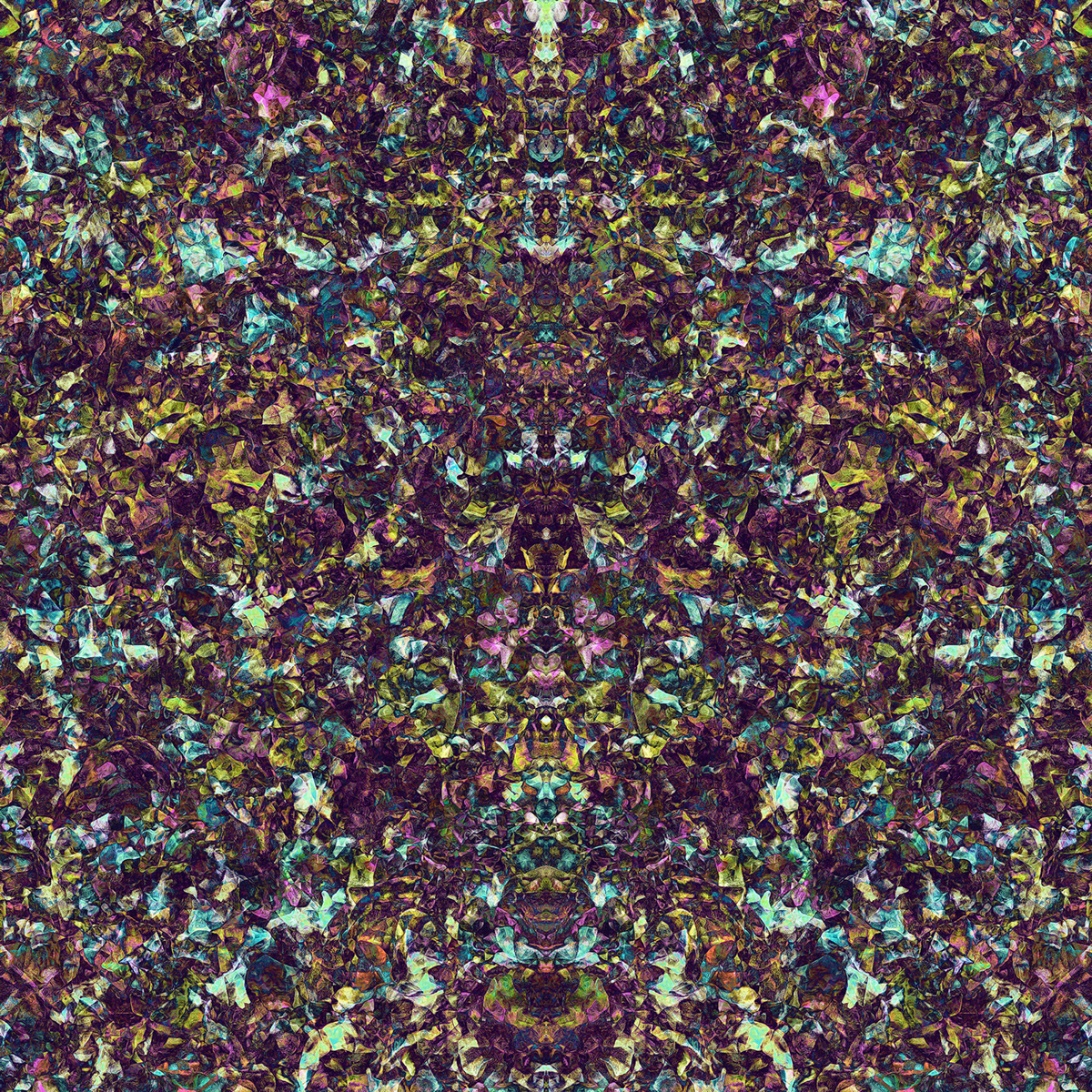 Pragyan Uprety Delphium abstract Abstract Art generative generative art pattern pattern design 