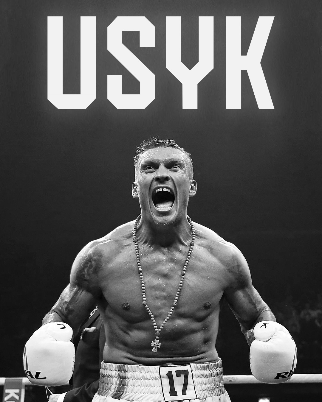 box Boxing Boxing Poster fighting heavyweight Joshua MMA poster sports graphics Usyk