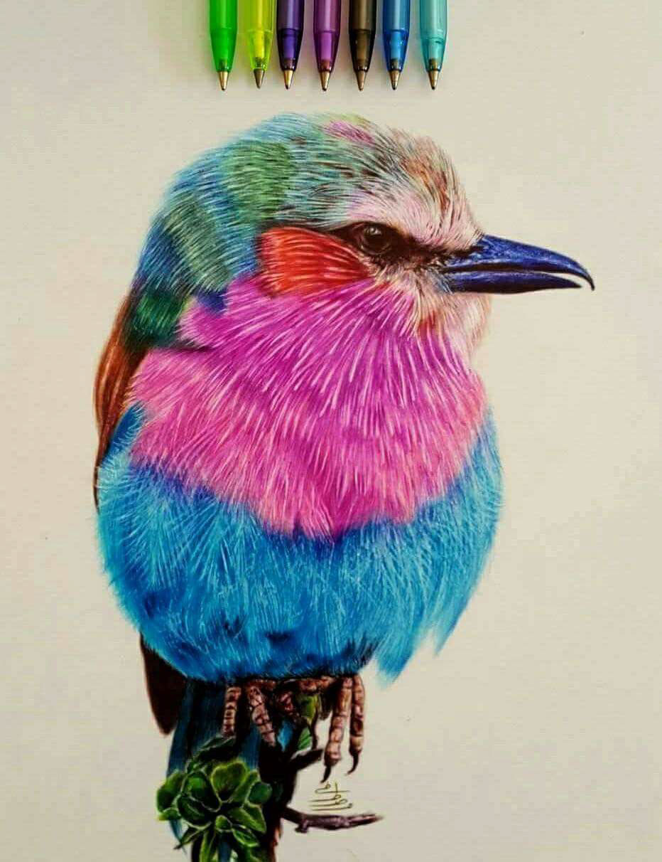draw Drawing  bird art painting   pen pens color ink