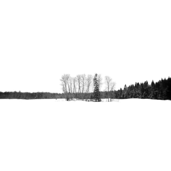 winter Landscape black & white Quebec snow analog holga