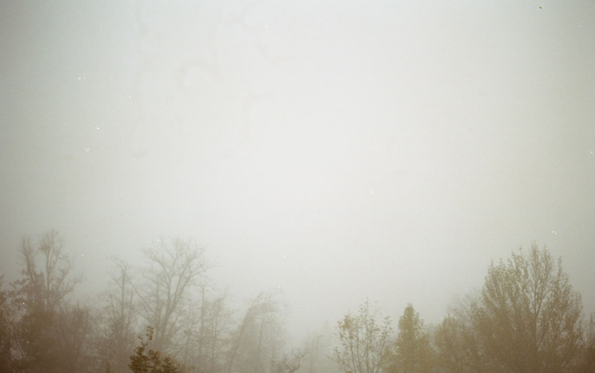 Landscape mist fog