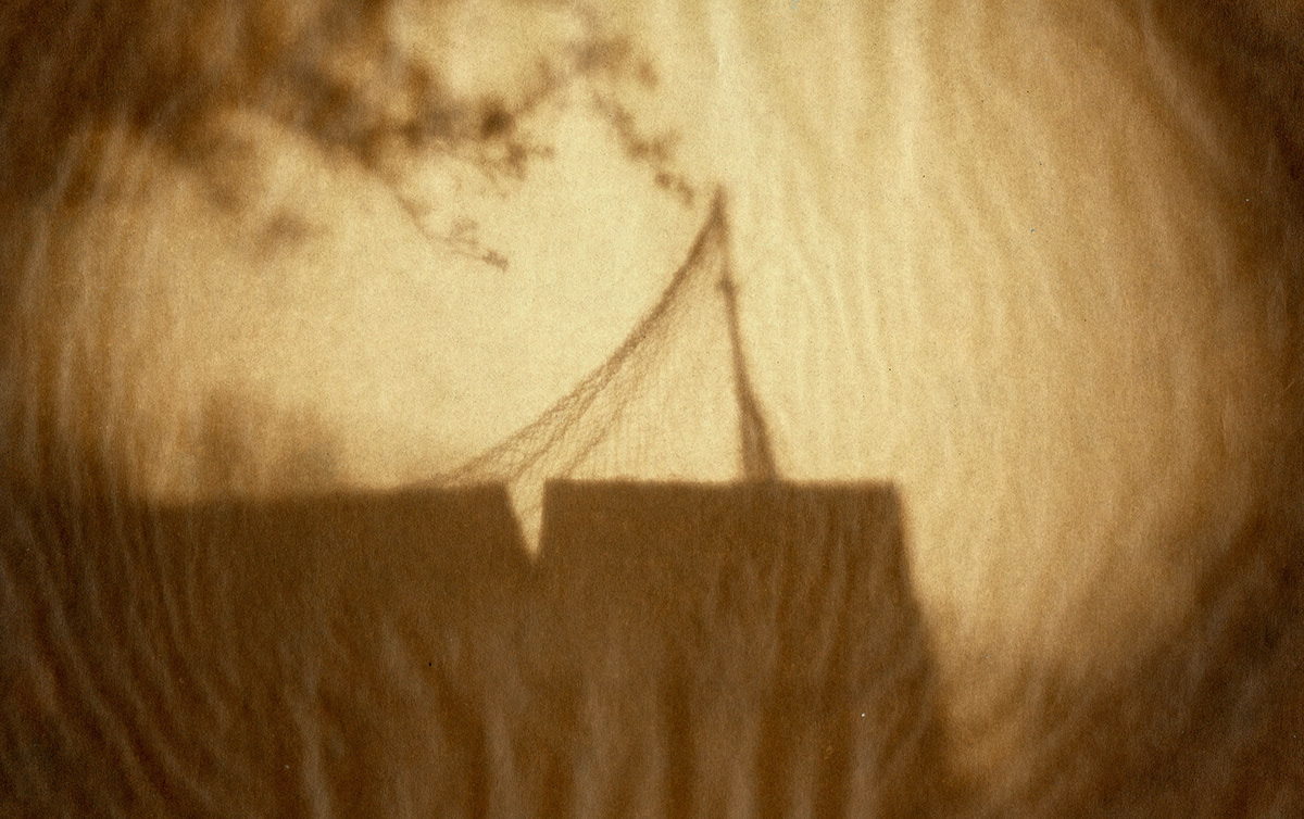 cyanotype Photography 
