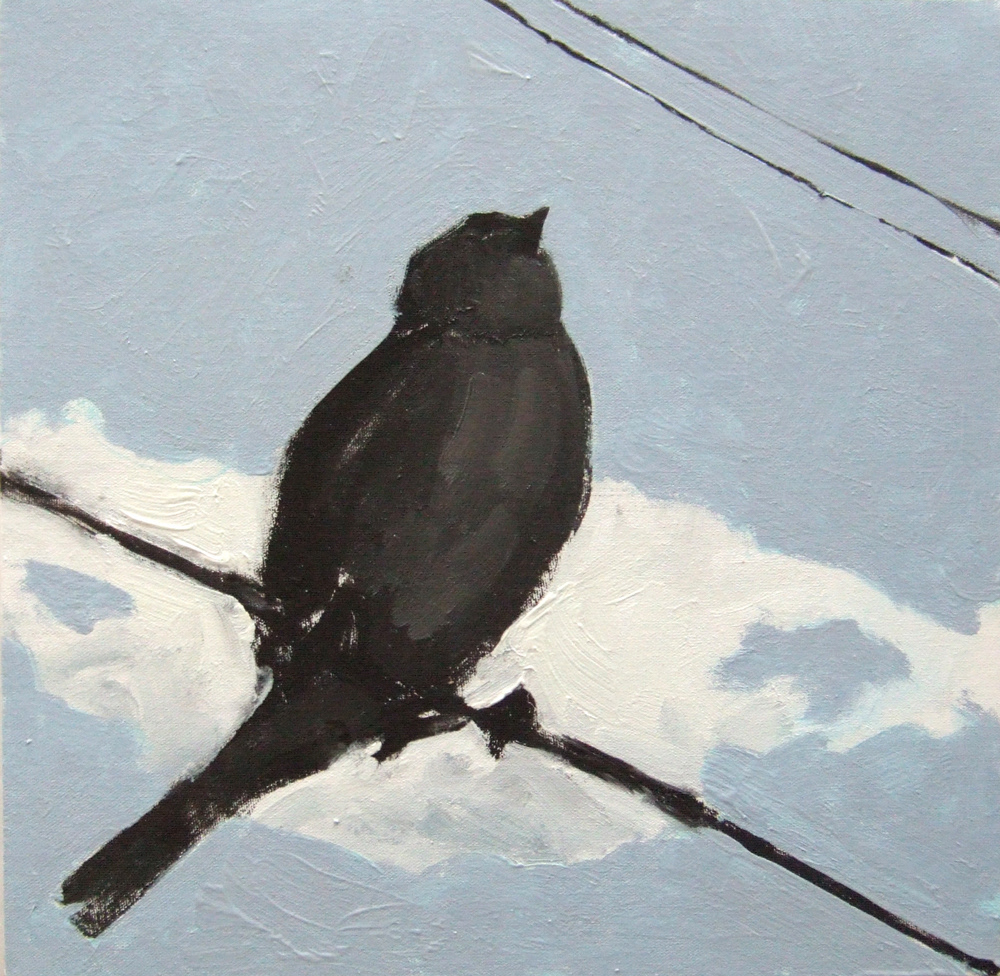 swallows birds SKY Wires posts gray blue Urban silhouete