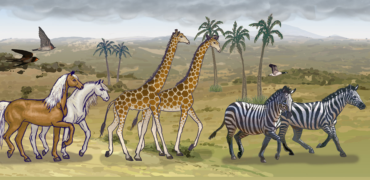 flash animation pop up book noah's ark animals Fina art digital painting interactive app Story Book