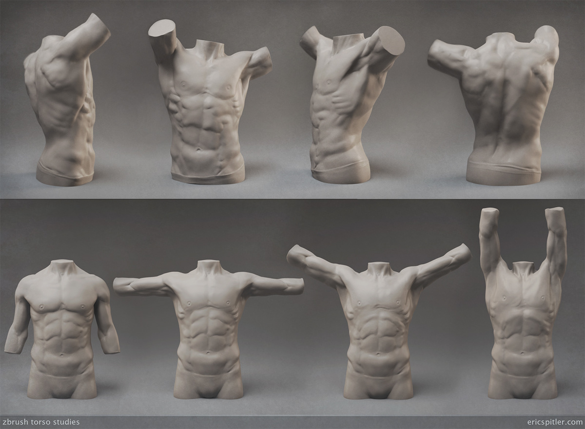 anatomy studies figure sculpting