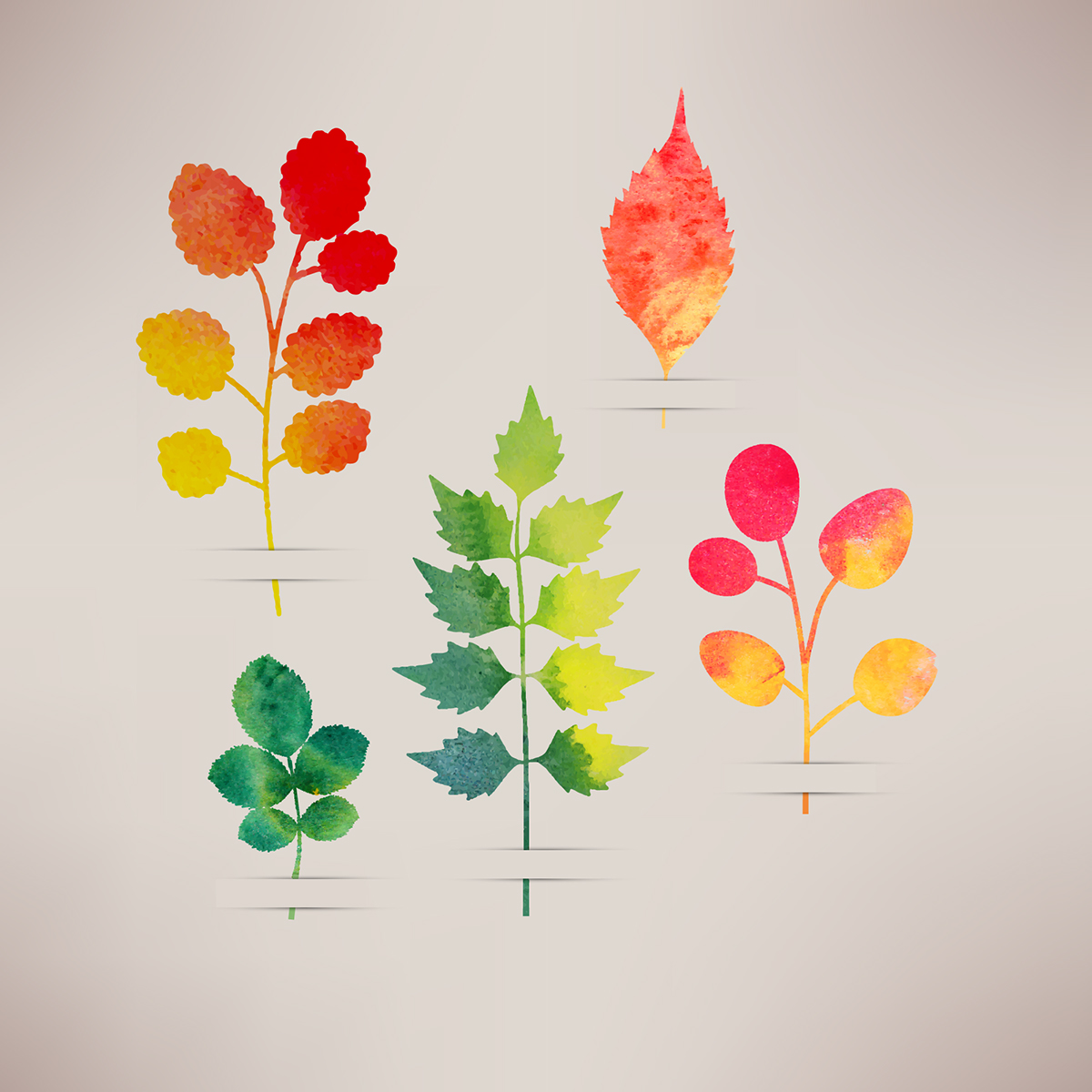 autumn triangle watercolor lettering cloud rain Herbarium leaf calendar