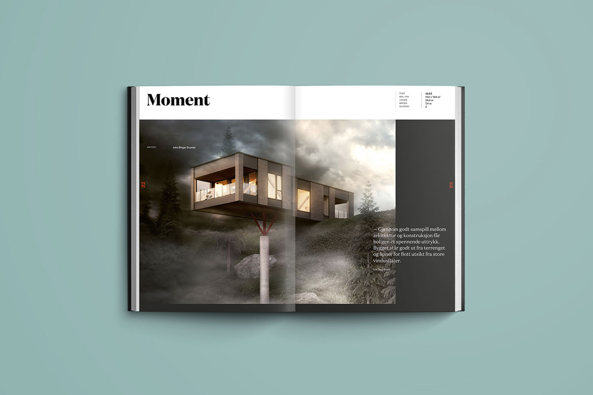 branding  editorial design  Layout ILLUSTRATION  architecture