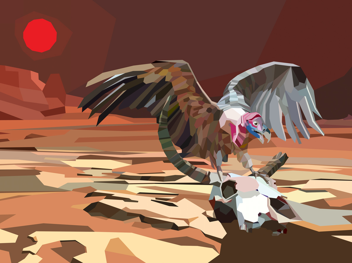 Adobe Portfolio QOTSA desert skull vulture