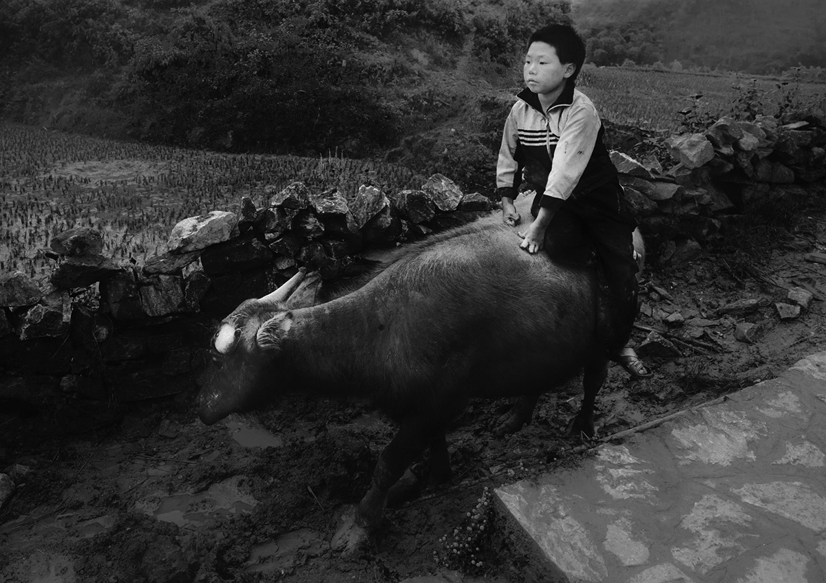 Sapa vietnam hmong villagers sa pa women pigs duck davezero davidsui david sui