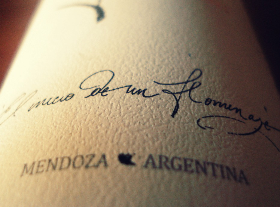branding  tiza caligrafia Wine Packaging