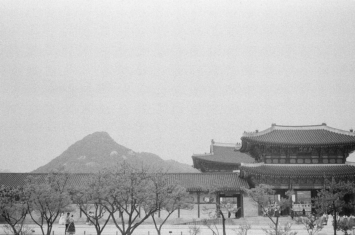 black and white Film   Photography  history culture historical Korea South Korea