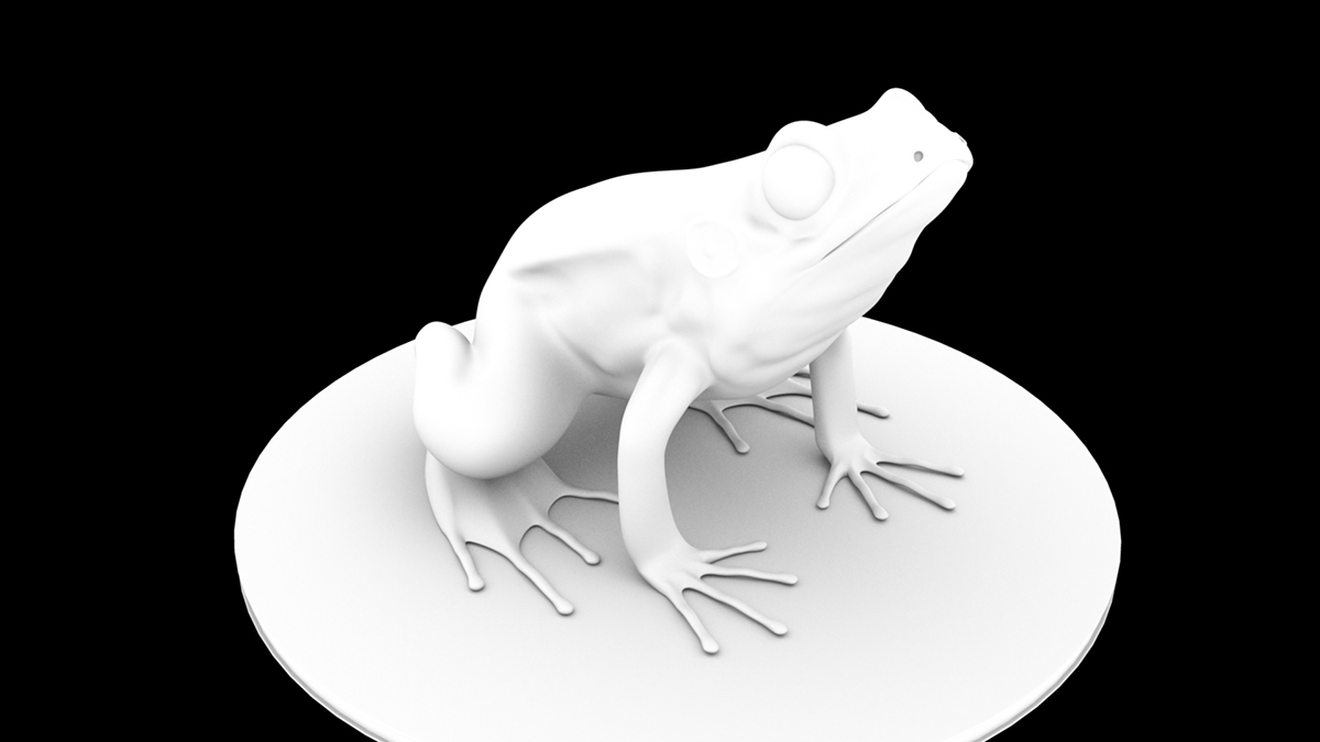 frog Nature vfx CGI computer generated images Maya Mari Zbrush Pixologic Autodesk model 3D model animal Scales MentalRay