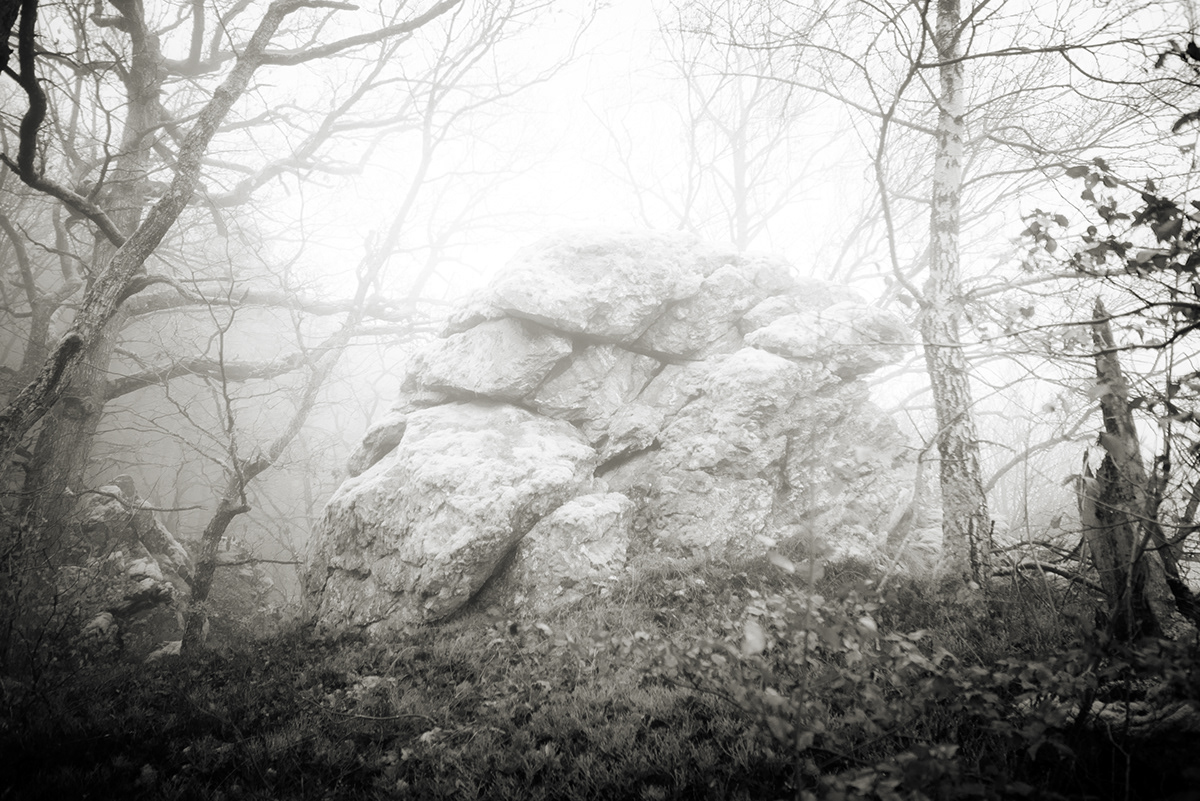 black and white bw fog forest germany Horath Landscape monochrome Nature RLP