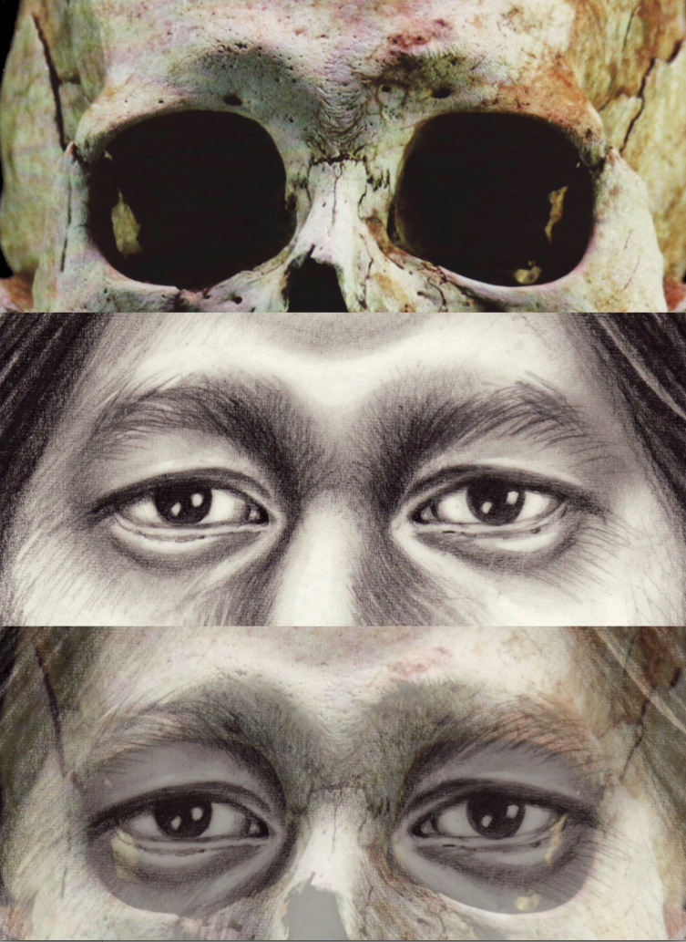 Forensic Art Facial Reconstruction skull historical portrait