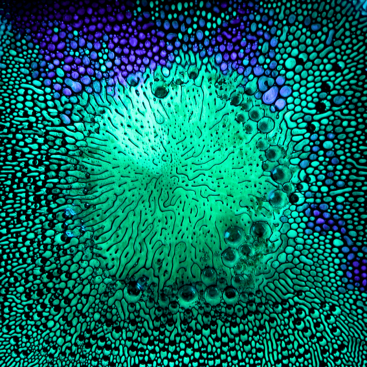 abstract art ferrofluid gif macro micro seattle Sony video