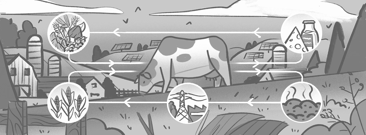 Editorial Illustration time Time Magazine bucolic farm dairy farm hills Nature cow
