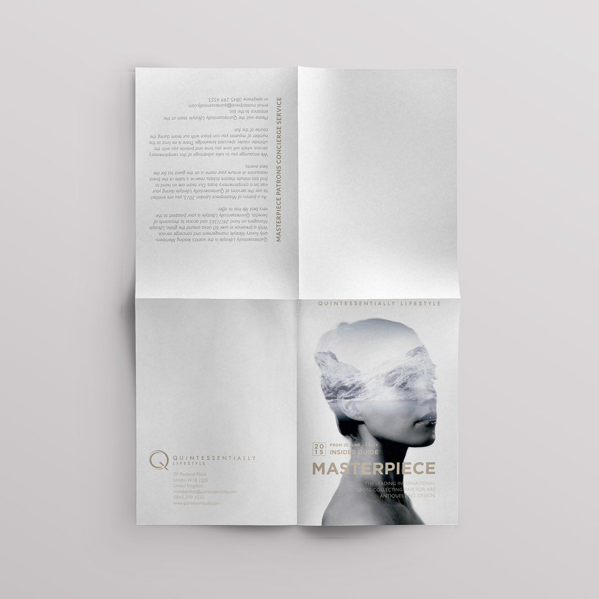 brochure design Layout art