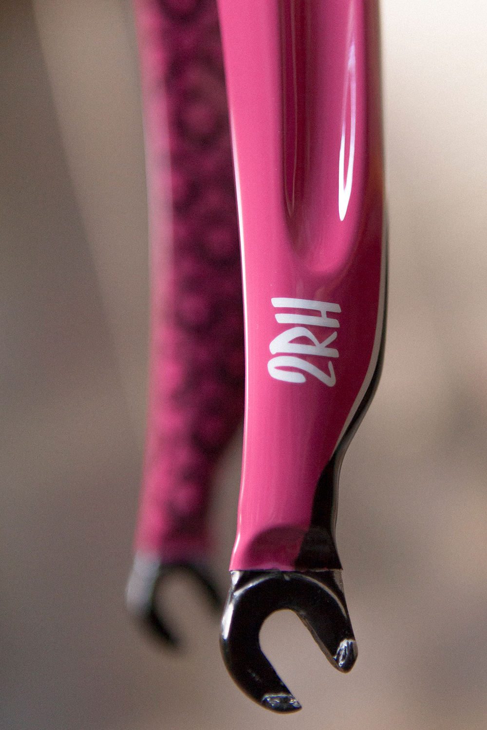 Custom paint Bicycle pink skulls damask Bianchi Bike