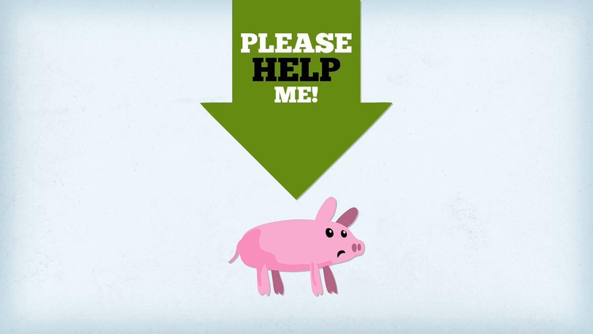 Adobe Portfolio rspca Think Pig pork animal welfare campaigning