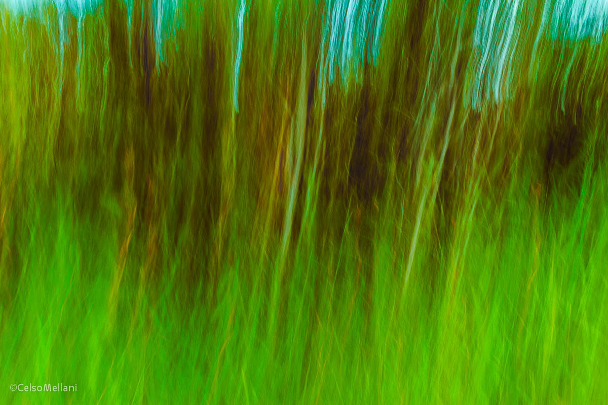 abstract abstrato camera dragging FINEART movimento MOVING