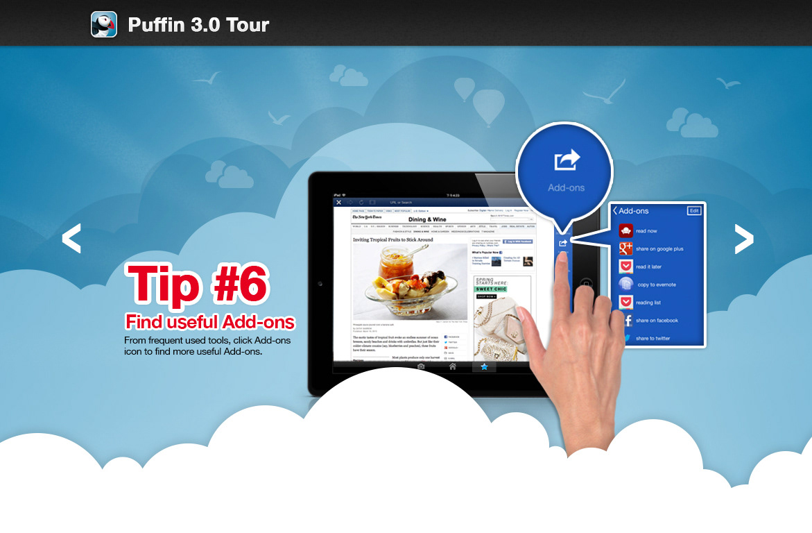puffin  browser  tour  guide  help tutorial app blue  bird